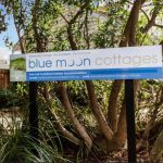 Blue Moon Cottages